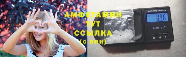 индика Белоозёрский