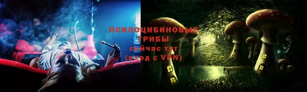индика Белоозёрский