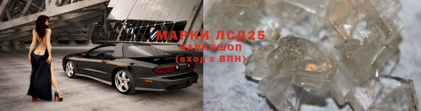 индика Белоозёрский