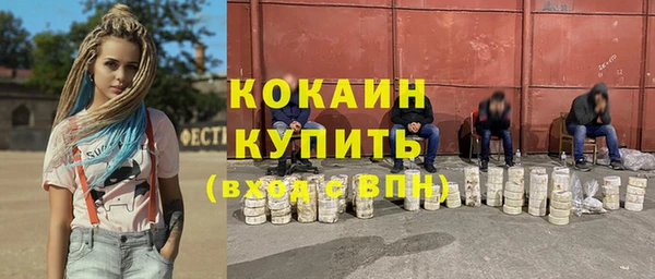 индика Белоозёрский