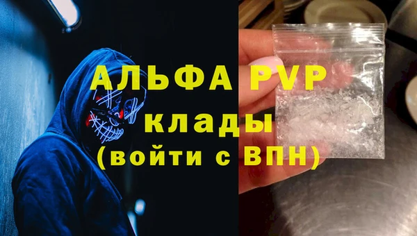индика Белоозёрский
