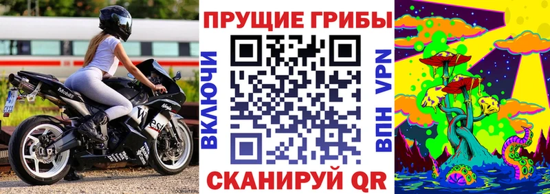 Псилоцибиновые грибы ЛСД  нарко площадка наркотические препараты  Вышний Волочёк  как найти наркотики 